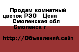 Продам комнатный цветок РЭО › Цена ­ 300 - Смоленская обл., Смоленск г.  »    